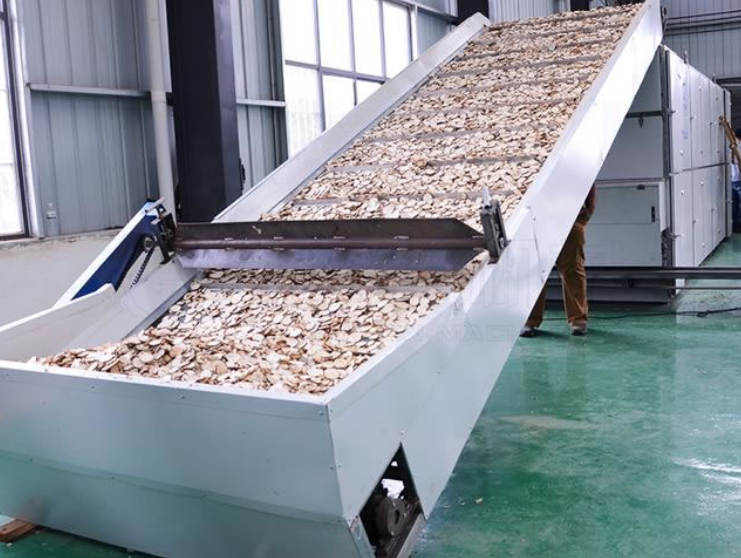 Yam mesh belt dryer